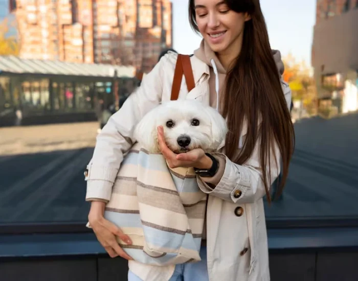 What Makes Pets Lets Travel Different