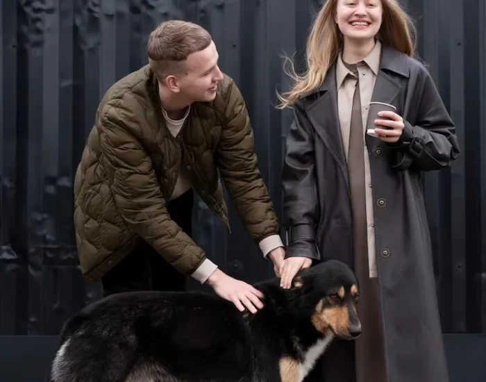 Why Choose Luxury Dog Transport Services in Manchester