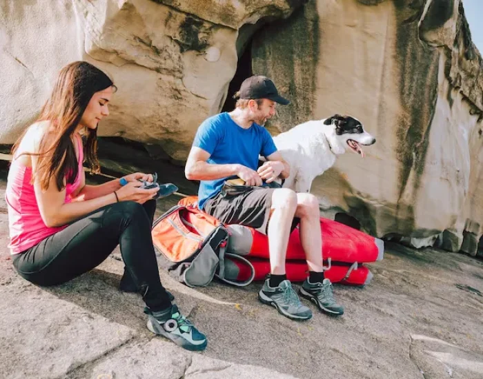 Why Choose Pet Relocation from the UK to Dubai