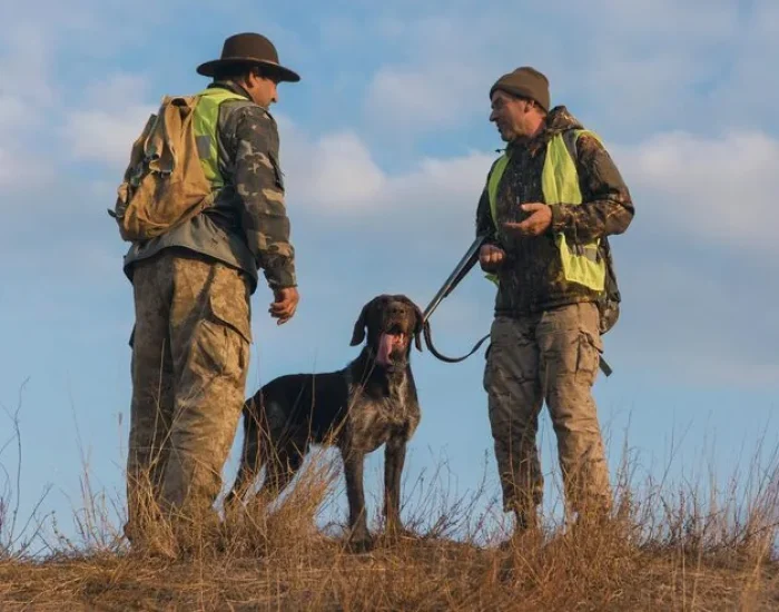 Why Choose Us Our Expertise