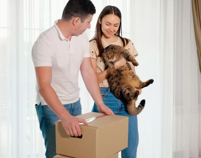 Why Choose Us Our Expertise