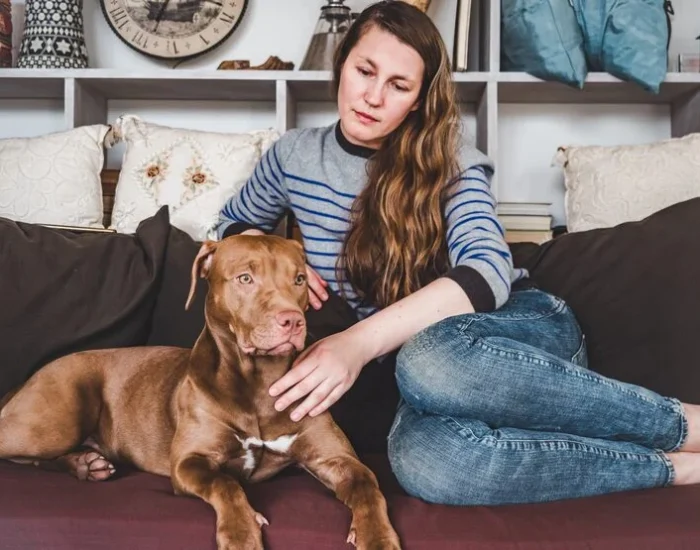 Why Choose Us Our Expertise