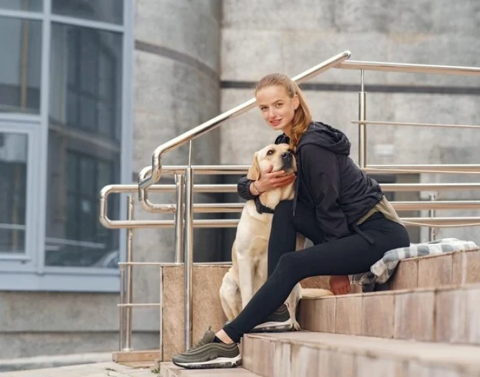 Why Choose Us for Embassy Dog Relocation UK