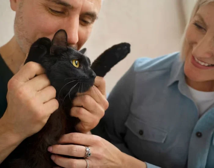 Why Choose Us for cats