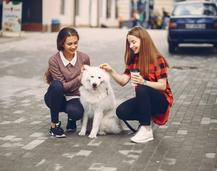 Why Choose Us for luxury pet ransport