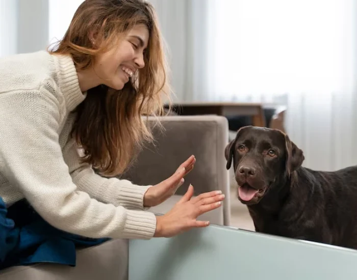 Why Choose Us pets agency