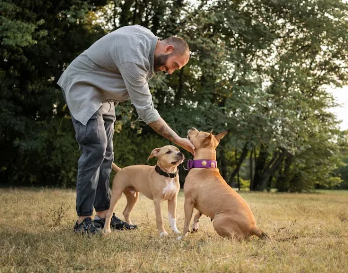 Why Choose Us petteam