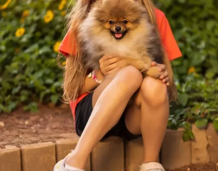 Why Choose our International Pet Relocation Team