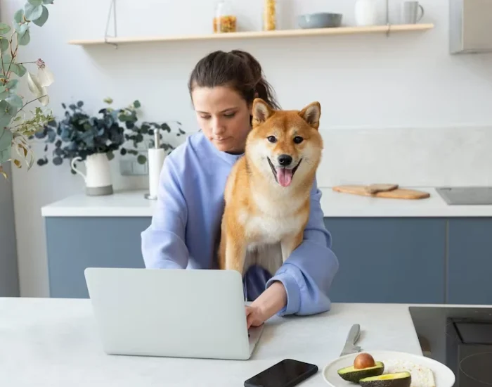 Why Decision-Makers Choose Us for pets transport