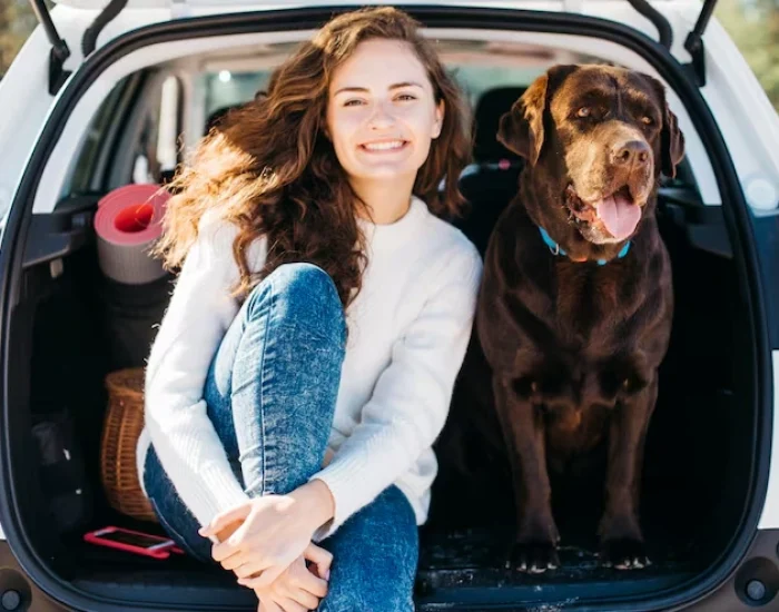 Why Pet Owners Trust Pets Let’s Travel