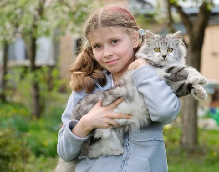 Why Work With Pets Let's Travel