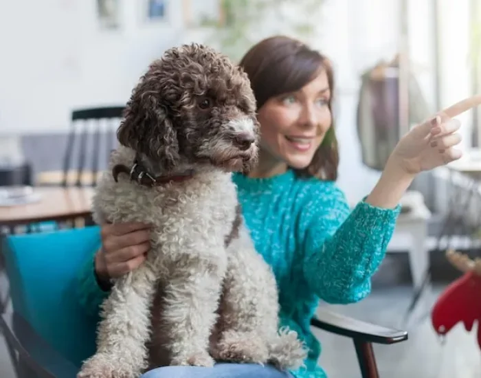 Winter Travel Essentials