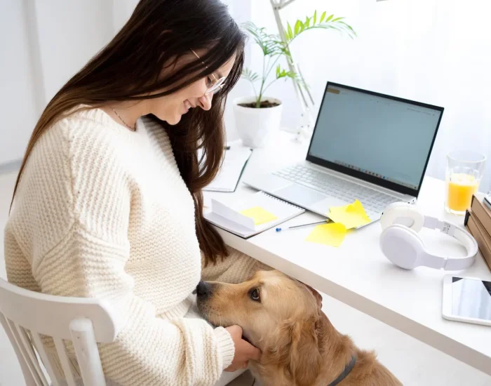 Pet Arrival Coordination Services London