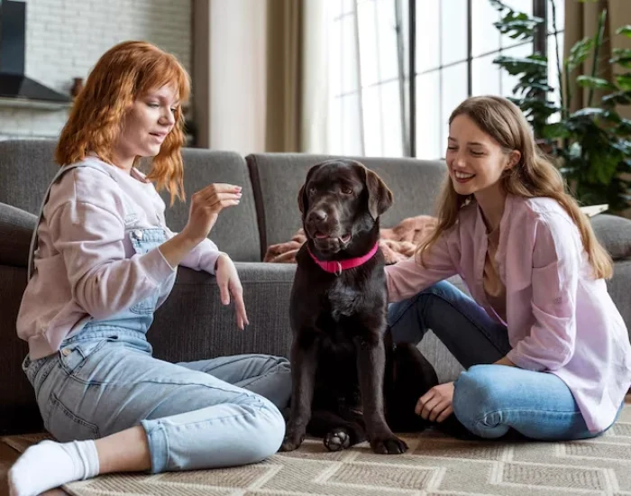 choose oour pet teams