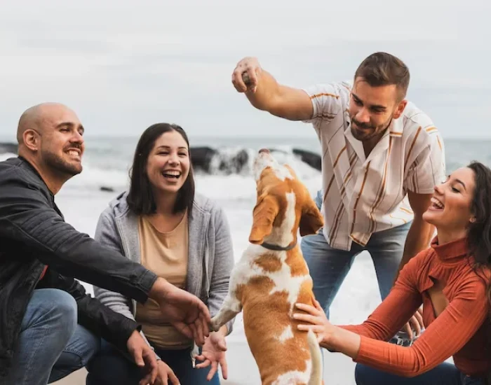 choose our petss teamb