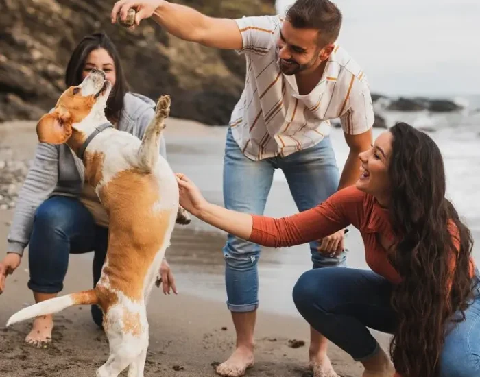 choose our petss teamm