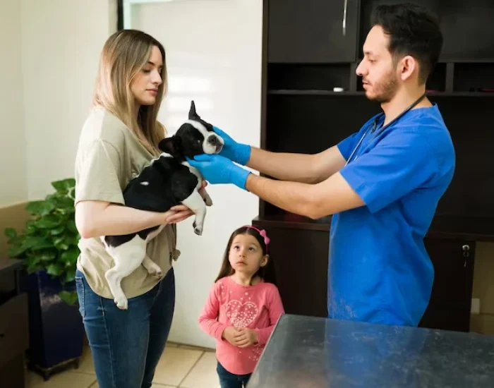 choose pet care team