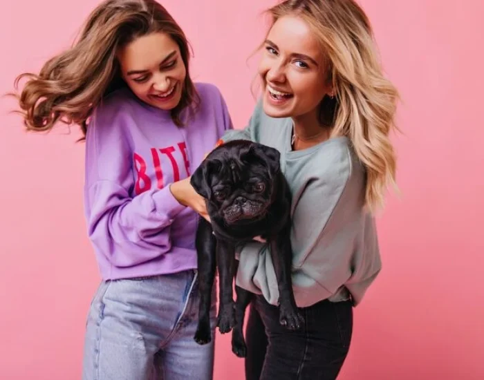 choose us for pet transport