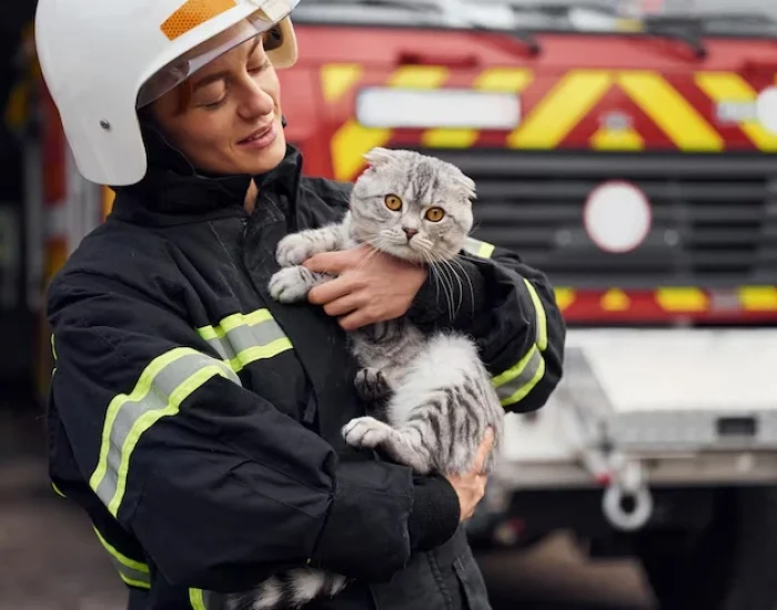 Urgent Animal Courier Service