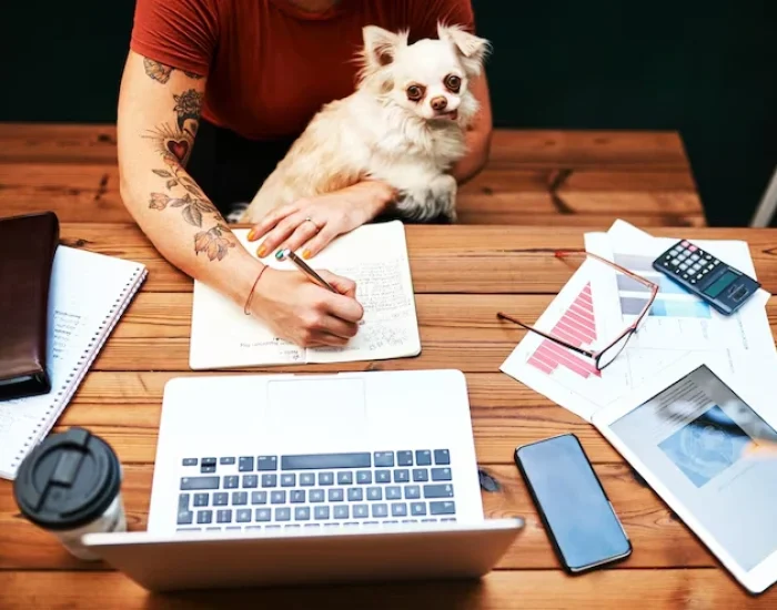 Documentation and Compliance Management