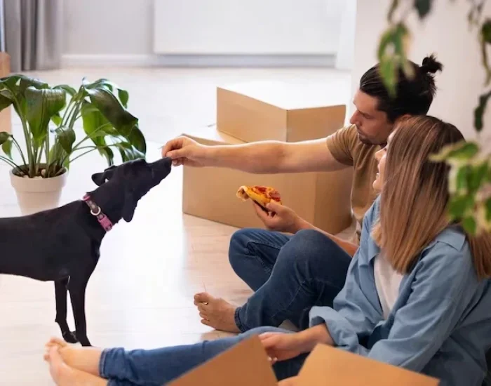 Pet Transport Services Derby