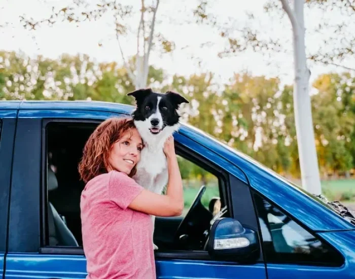 Animal Transfer Services Leicester