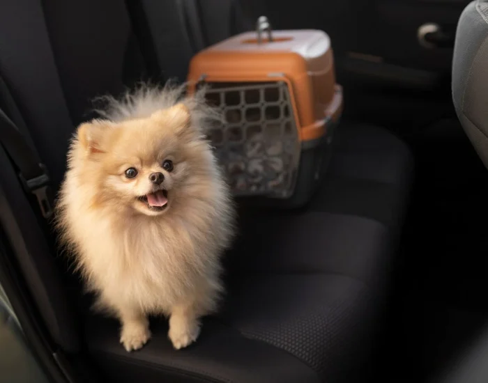 Pet Flight Booking Services London