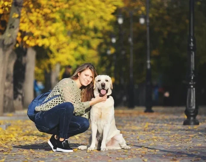 Door to Door Pet Transport Dubai to UK