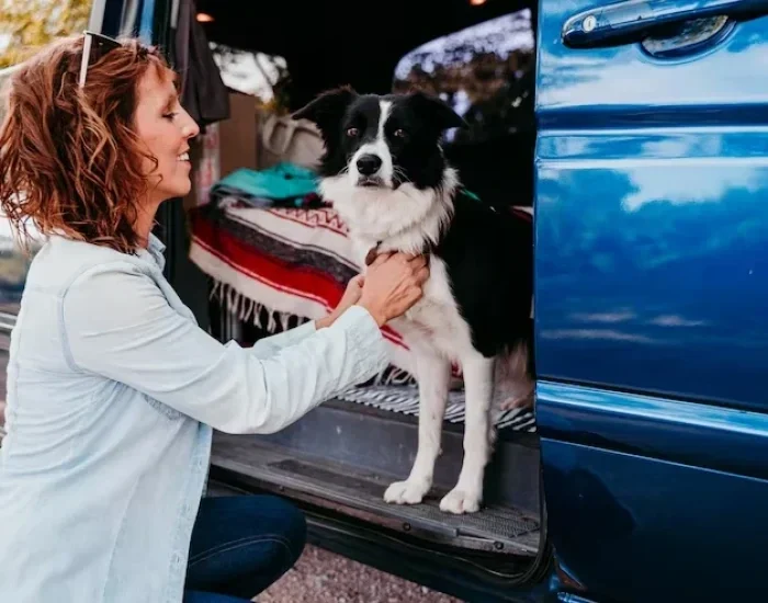 Express Pet Transfer Services Leicester