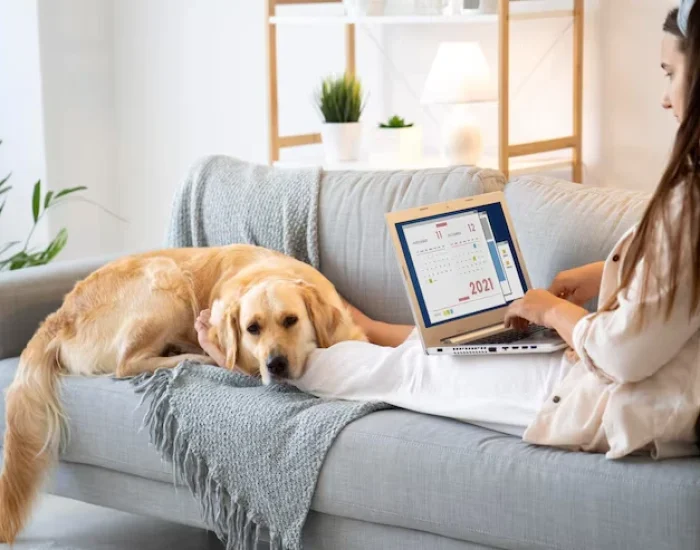 iIndustry Statistics That Matter in pets industry