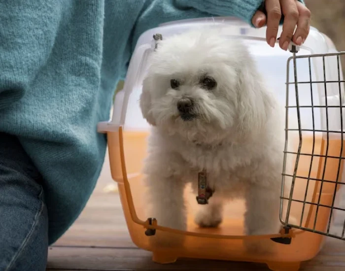IATA Approved Travel Crates and Conditioning