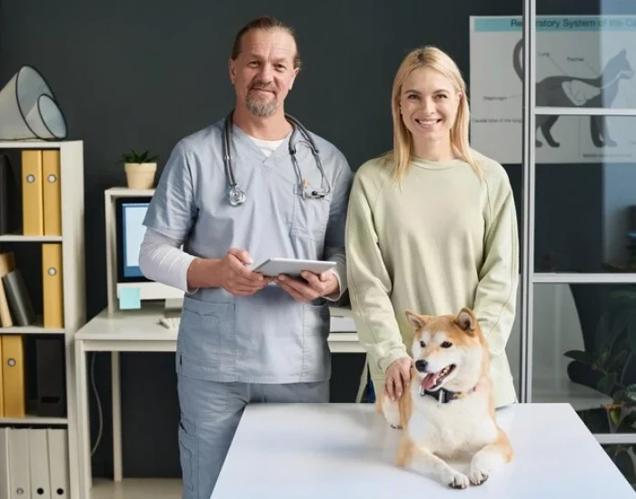 Licensed Pet Transport Services UK to Spain