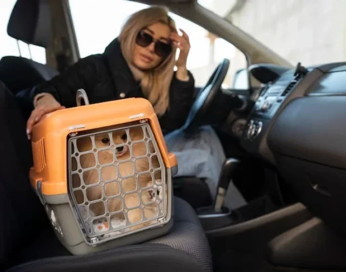 Animal Transport Services Exeter