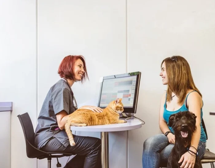 Premium Pet Transport Services UK to Charlotte