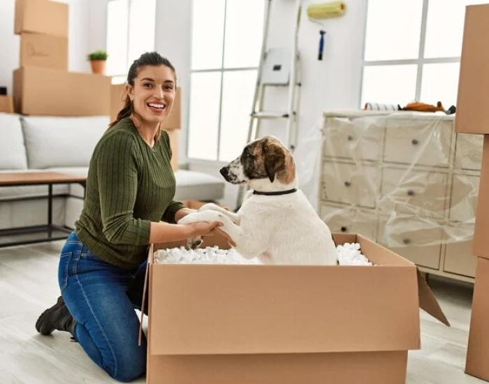 Pet Transport Service UK to Sweden