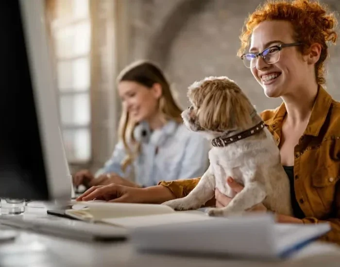 Trusted Pet Courier Services Stoke on Trent