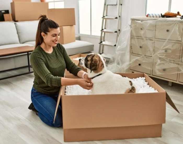 Pet Relocation Specialists London