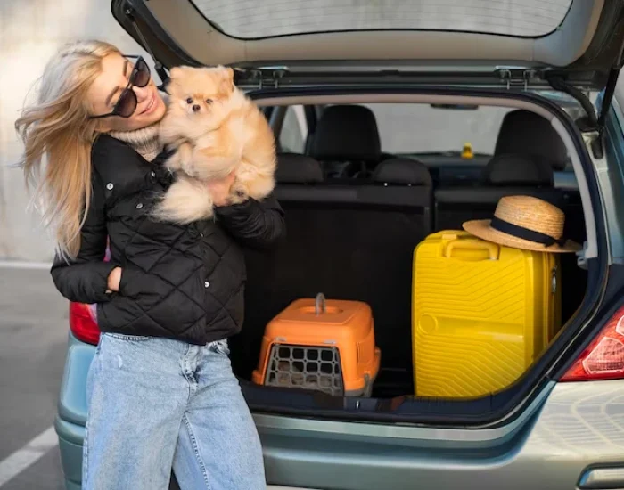 Long Distance and Cross Border Pet Courier Services