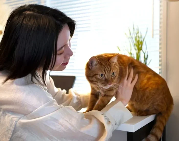 Professional Cat Care Service