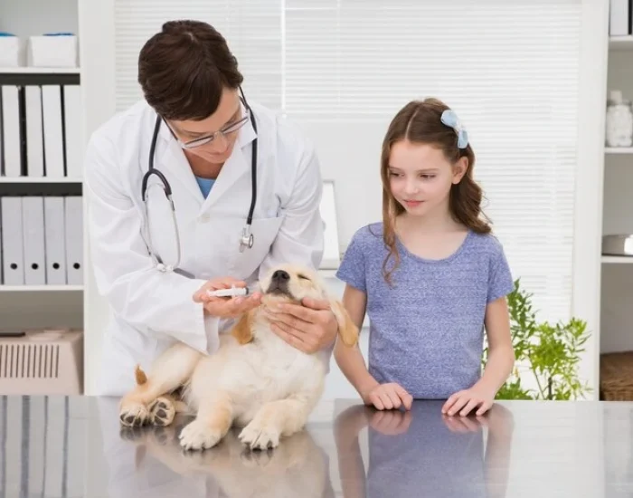 Licensed International Pet Courier Services