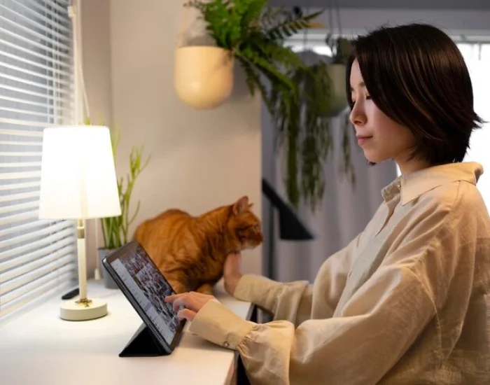Personalised Cat Transport Planning