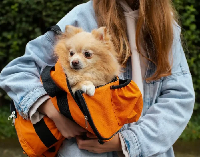 Urgent Pet Delivery Services