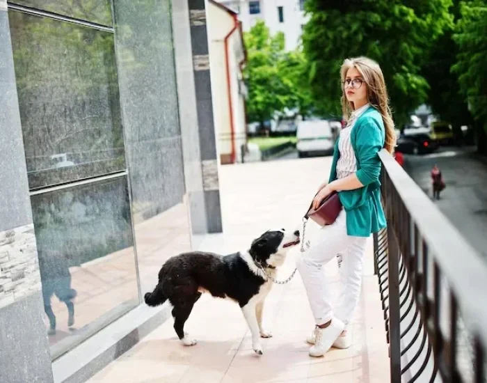 Domestic Pet Transfer Services Leicester