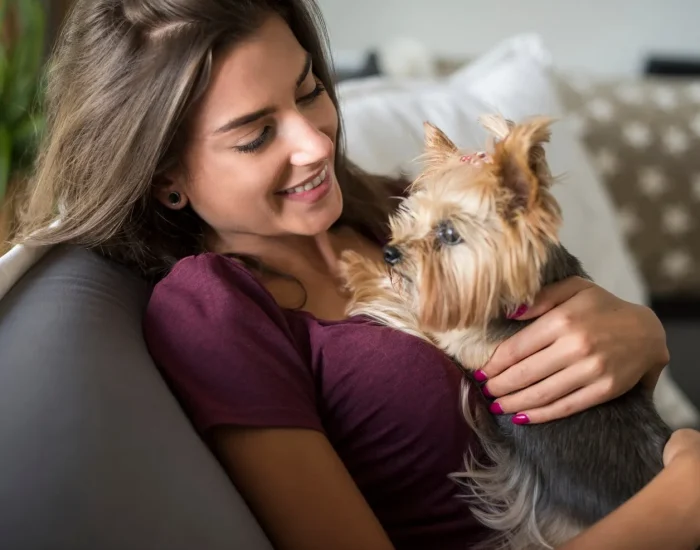 Safe Pet Transport Services UK to Charlotte
