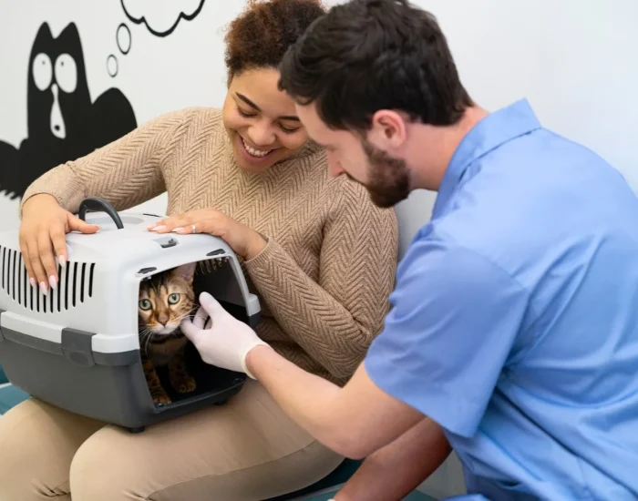 Secure Pet Travel Services Exeter