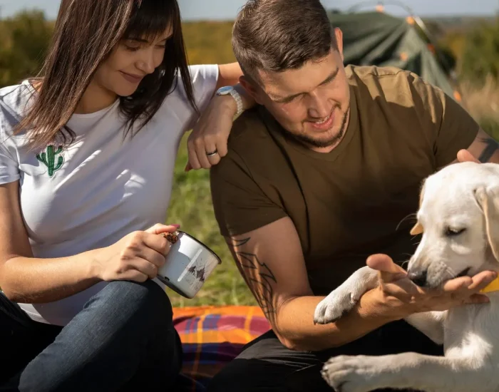 Pet Relocation Services UK to Spain