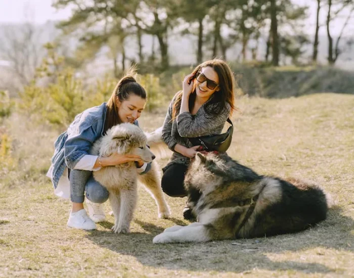 pet owners work with us because