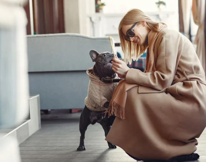 Luxury Pet Transport Services for Pets with Special Needs