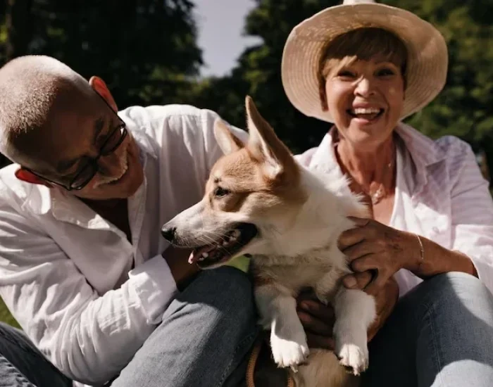 door to door diplomatic pet relocation services