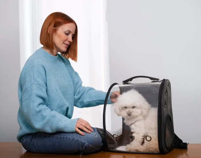 Animal Transport Services Exeter